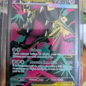 Méga-Mysdibule 162/132