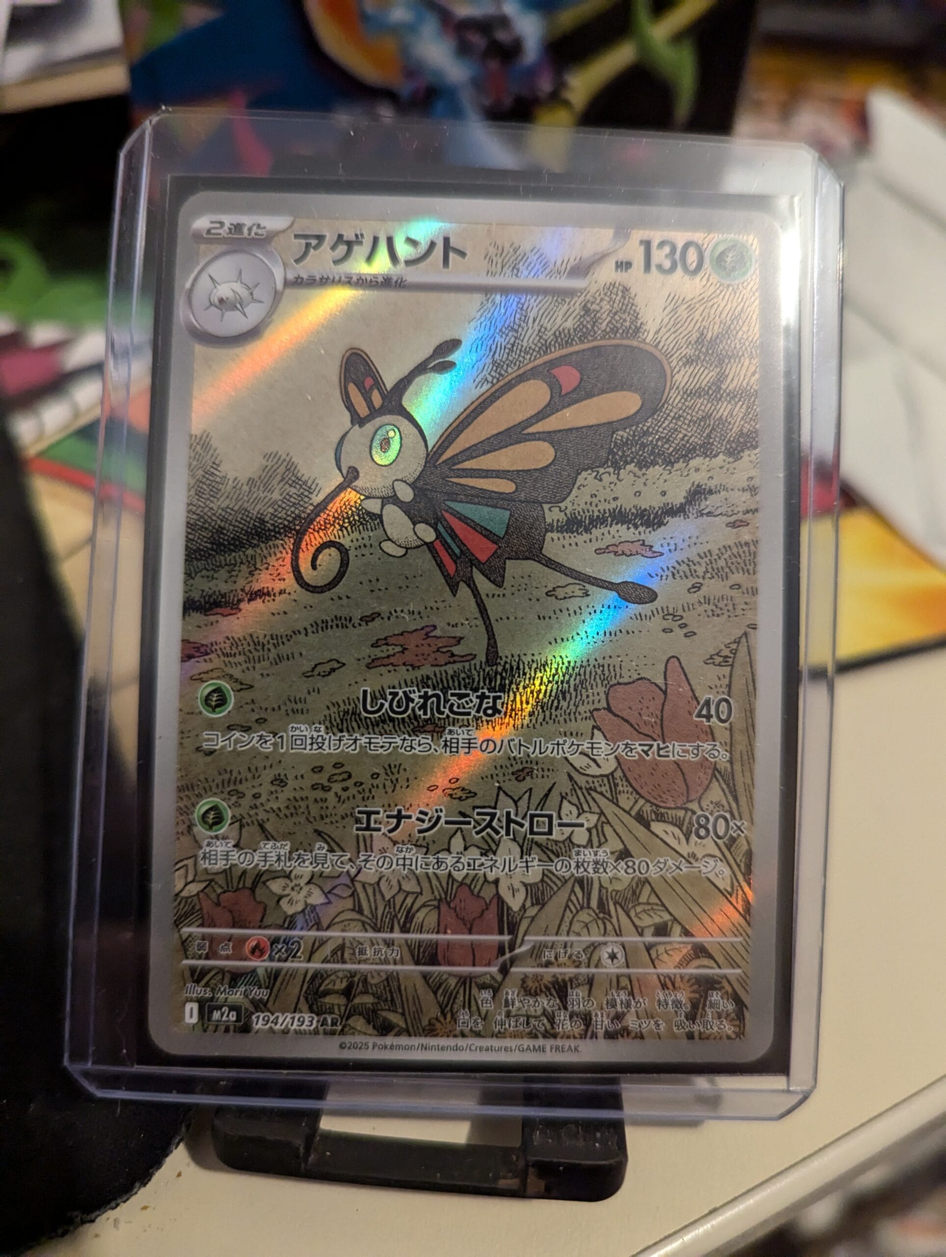 charmillon - JM Cards charmillon