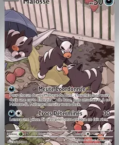 Pokémon card for Malosse (Houndour) with 50 PV; three Malosse puppies in a pen; attacks Meute Coordonnée and Crocs Déterminés.