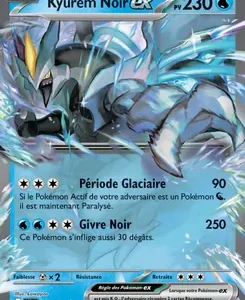 Kyurem Noir ex Pokémon card with 230 HP and two attacks: Période Glaciaire (90) and Givre Noir (250).